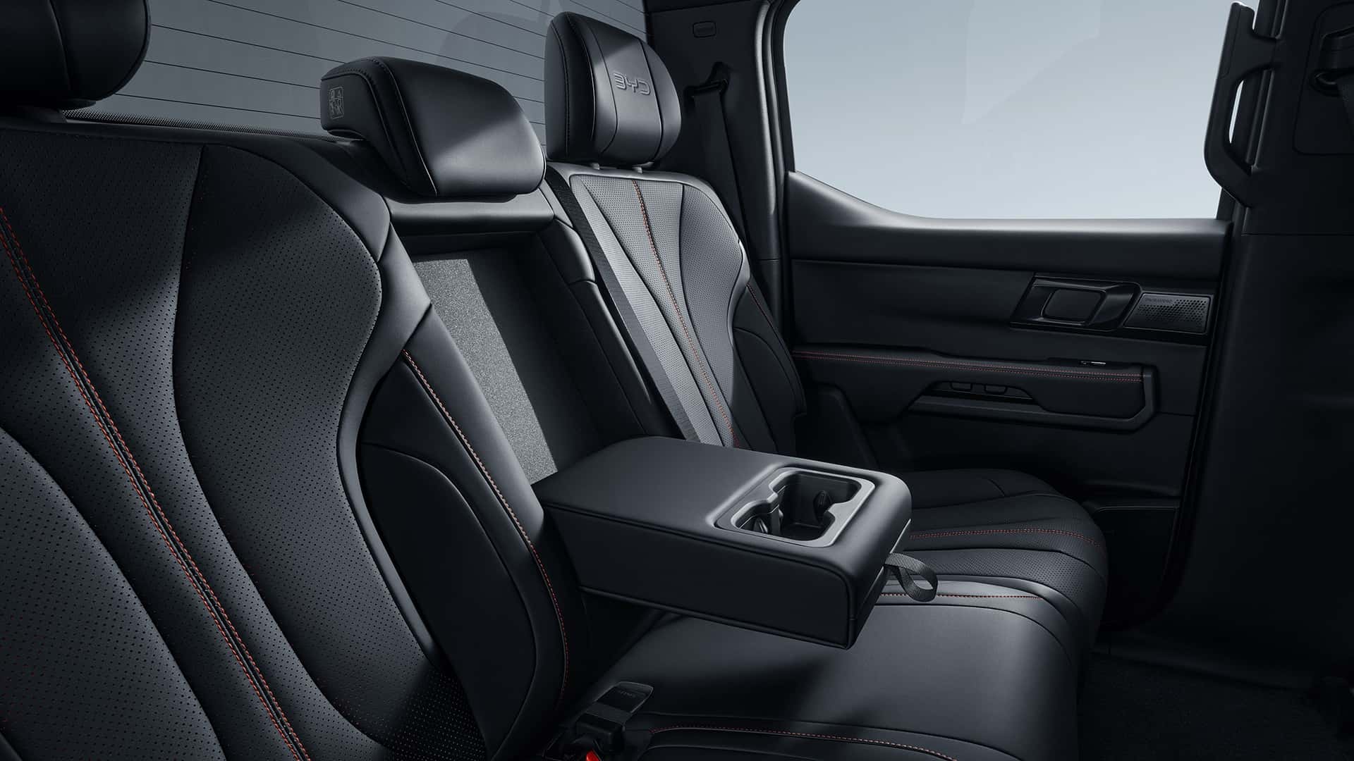 Byd Shark Interni